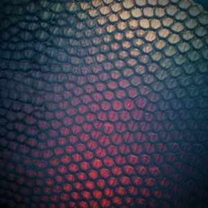 These are the closest pictures I can find to give an example. These are fish scales